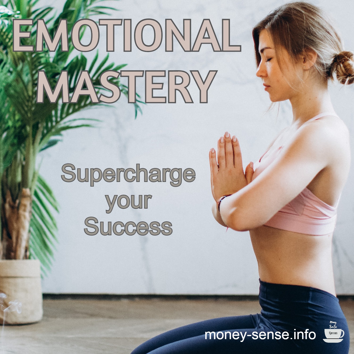 Emotional Mastery - Supercharge your Success
